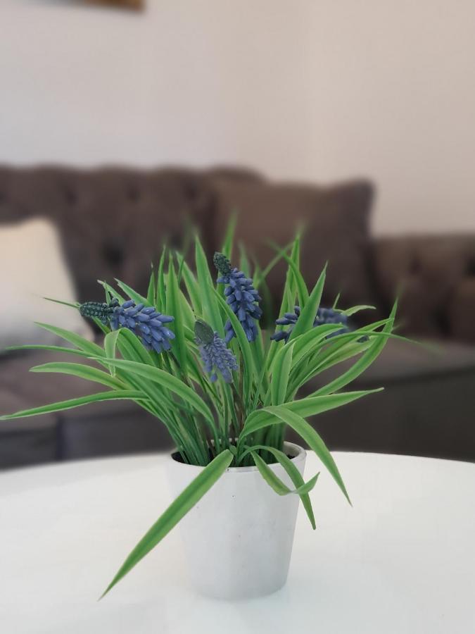 Clive Apartments Kotor Kültér fotó